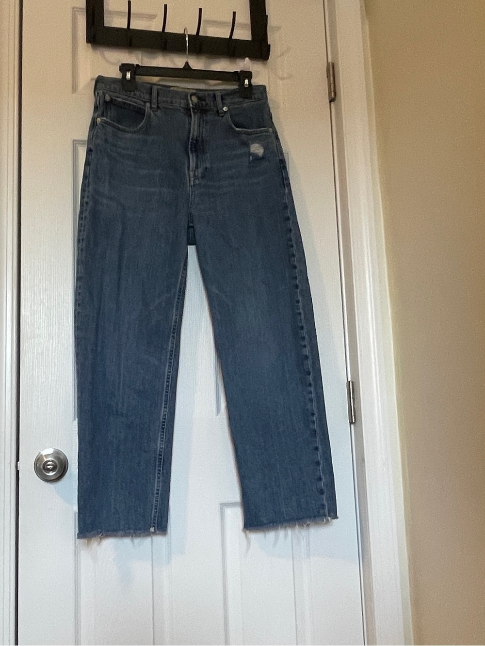 Everlane The Way-High Jean